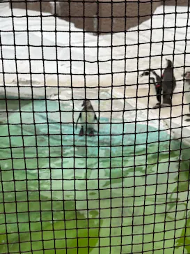 天王寺動物園に投稿された画像（2022/5/16）