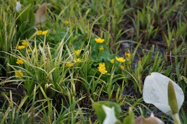 横手山・渋峠スキー場に投稿された画像（2022/5/16）