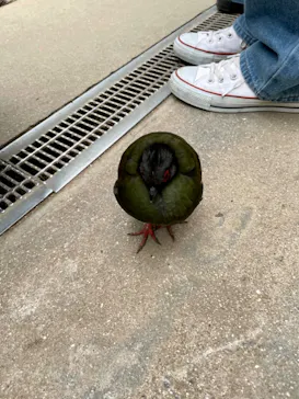 神戸どうぶつ王国に投稿された画像（2022/5/16）