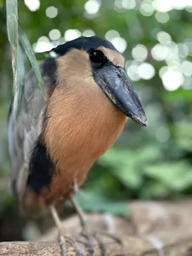 神戸どうぶつ王国に投稿された画像（2022/5/16）