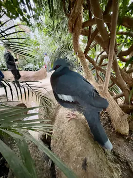 神戸どうぶつ王国に投稿された画像（2022/5/16）