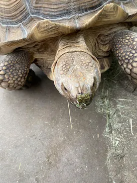 神戸どうぶつ王国に投稿された画像（2022/5/16）