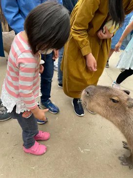 神戸どうぶつ王国に投稿された画像（2022/5/16）