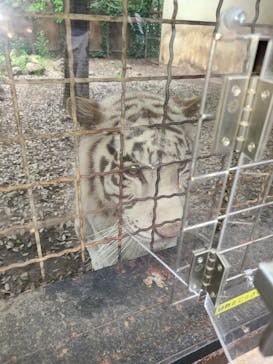 群馬サファリパークに投稿された画像（2022/5/16）