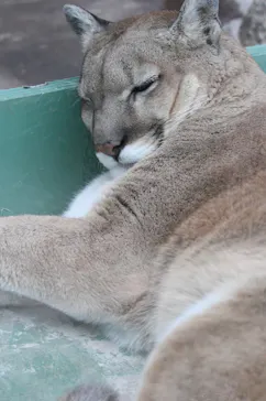天王寺動物園に投稿された画像（2022/5/16）
