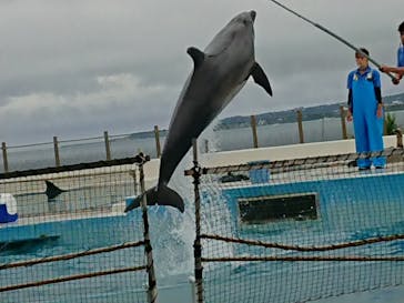 沖縄美ら海水族館に投稿された画像（2022/5/16）