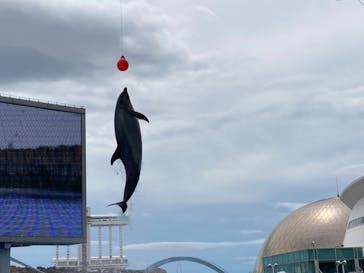 名古屋港水族館に投稿された画像（2022/5/16）