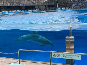 名古屋港水族館に投稿された画像（2022/5/16）