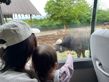 群馬サファリパークに投稿された画像（2022/5/16）