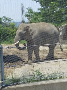 群馬サファリパークに投稿された画像（2022/5/16）