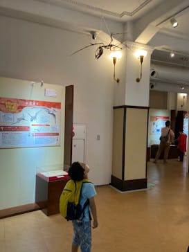 国立科学博物館　特別企画展「ポケモン化石博物館」に投稿された画像（2022/5/16）