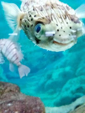 株式会社Gに投稿された画像（2022/5/16）