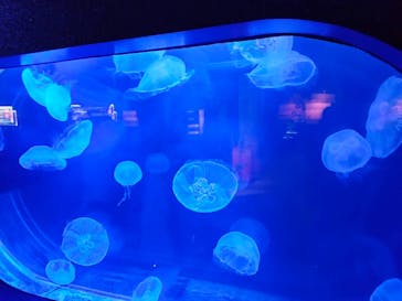 株式会社Gに投稿された画像（2022/5/16）