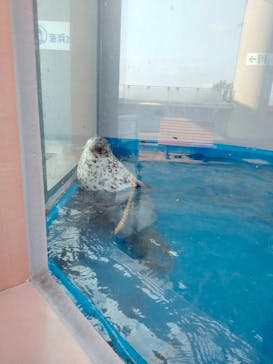 株式会社Gに投稿された画像（2022/5/16）