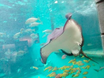 株式会社Gに投稿された画像（2022/5/16）