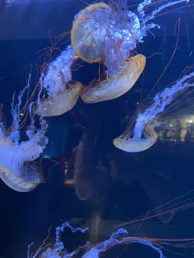 横浜・八景島シーパラダイスに投稿された画像（2022/5/16）