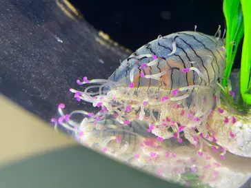 横浜・八景島シーパラダイスに投稿された画像（2022/5/16）