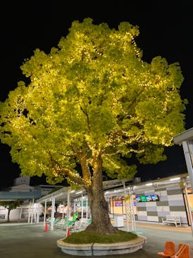 園田競馬場に投稿された画像（2022/5/16）
