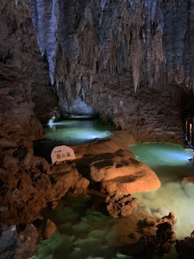 おきなわワールドに投稿された画像（2022/5/16）