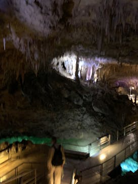 おきなわワールドに投稿された画像（2022/5/16）