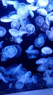 横浜・八景島シーパラダイスに投稿された画像（2022/5/16）