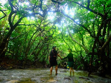 西表島 ADVENTURE PiPi（アドベンチャーピピ）に投稿された画像（2022/5/16）