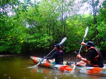 西表島 ADVENTURE PiPi（アドベンチャーピピ）に投稿された画像（2022/5/16）