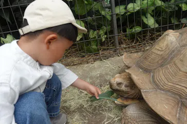 神戸どうぶつ王国に投稿された画像（2022/5/16）