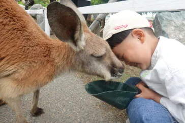 神戸どうぶつ王国に投稿された画像（2022/5/16）