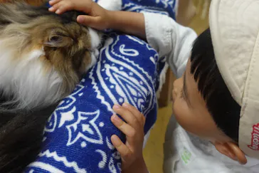 神戸どうぶつ王国に投稿された画像（2022/5/16）