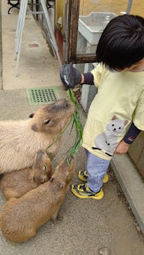伊豆シャボテン動物公園に投稿された画像（2022/5/16）