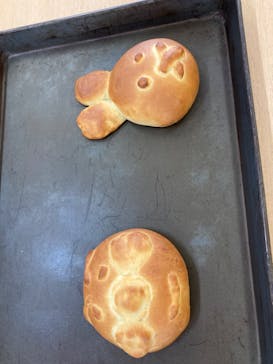 淡路ファームパーク イングランドの丘に投稿された画像（2022/5/16）