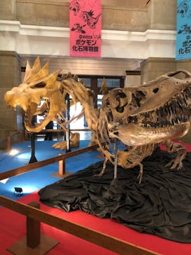 国立科学博物館　特別企画展「ポケモン化石博物館」に投稿された画像（2022/5/17）