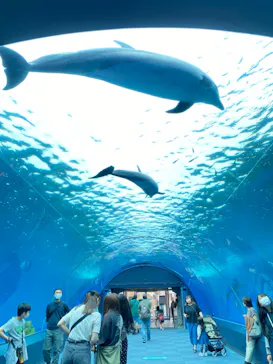 横浜・八景島シーパラダイスに投稿された画像（2022/5/17）