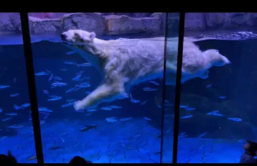 横浜・八景島シーパラダイスに投稿された画像（2022/5/17）