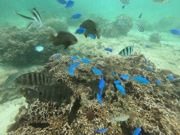 武藤潜水に投稿された画像（2022/5/17）