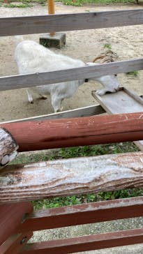 横浜市立金沢動物園に投稿された画像（2022/5/17）