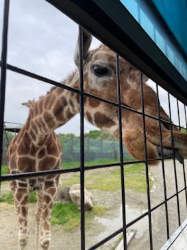 那須サファリパークに投稿された画像（2022/5/17）