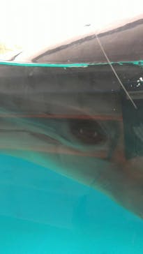 下田海中水族館に投稿された画像（2022/5/17）