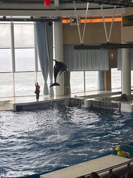 アクアワールド茨城県大洗水族館に投稿された画像（2022/5/17）