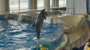 アクアワールド茨城県大洗水族館に投稿された画像（2022/5/17）