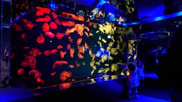 名古屋港水族館に投稿された画像（2022/5/17）