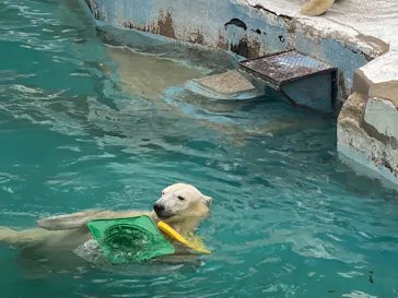 天王寺動物園に投稿された画像（2022/5/17）