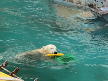 天王寺動物園に投稿された画像（2022/5/17）