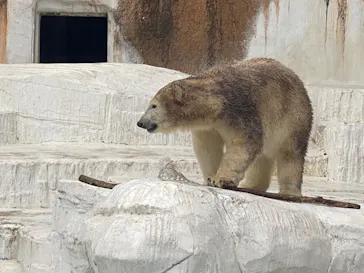 天王寺動物園に投稿された画像（2022/5/17）