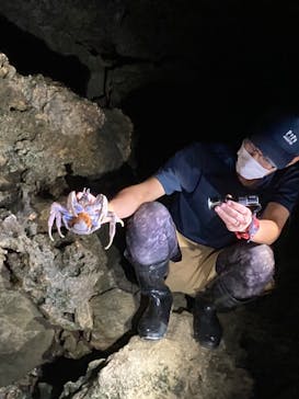 石垣島 ADVENTURE PiPi（イシガキジマアドベンチャーピピ）に投稿された画像（2022/5/17）