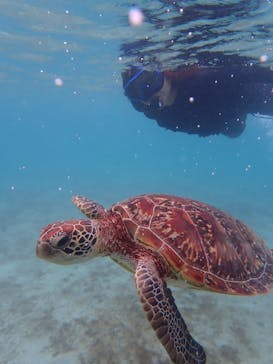 宮古島 ADVENTURE PiPi（ミヤコジマ アドベンチャー ピピ）に投稿された画像（2022/5/17）