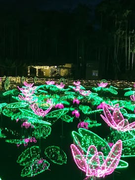 美らヤシパークオキナワ・東南植物楽園に投稿された画像（2022/5/17）