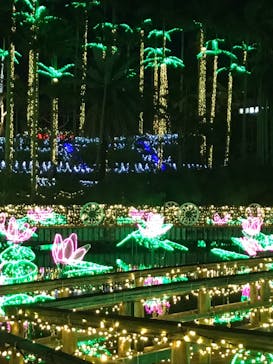 美らヤシパークオキナワ・東南植物楽園に投稿された画像（2022/5/17）