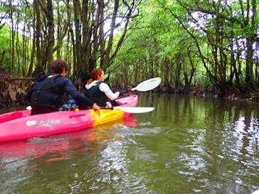 西表島 ADVENTURE PiPi（アドベンチャーピピ）に投稿された画像（2022/5/17）